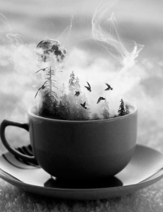 공연티켓 + 음료1잔 포함