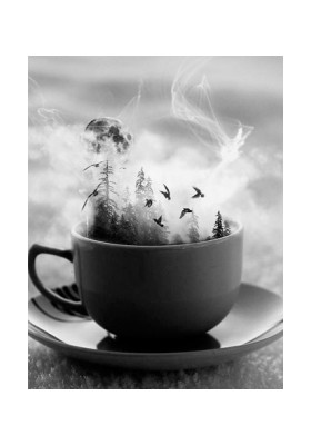 공연티켓 + 음료1잔 포함